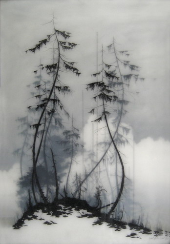  Brooks Salzwedel  3