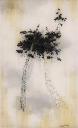  Brooks Salzwedel  4