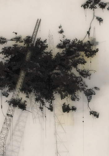  Brooks Salzwedel  5