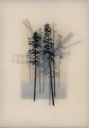  Brooks Salzwedel  6