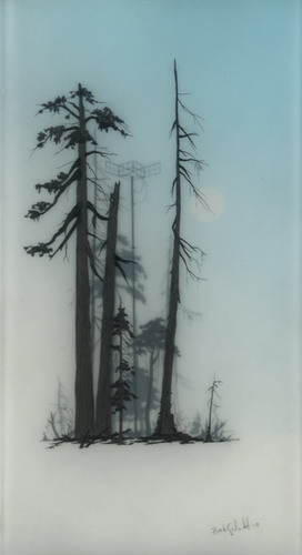  Brooks Salzwedel  11