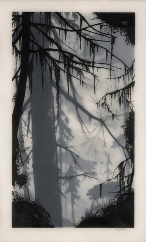  Brooks Salzwedel  12