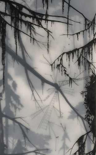  Brooks Salzwedel  13