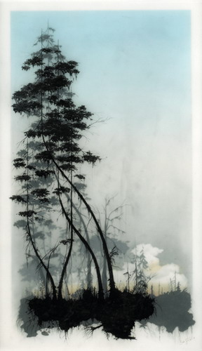  Brooks Salzwedel  14