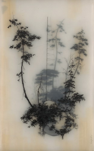  Brooks Salzwedel  16