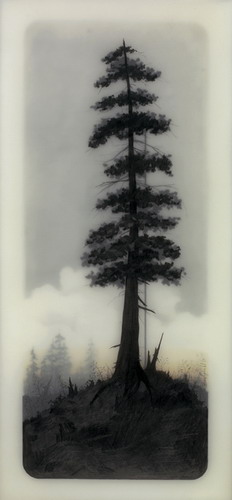  Brooks Salzwedel  17