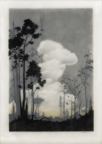  Brooks Salzwedel  19