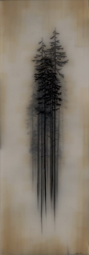  Brooks Salzwedel  22