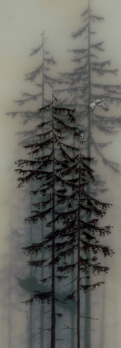  Brooks Salzwedel  23