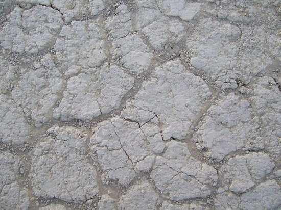 ����� �������� :: Burning man 2007 ���� 19