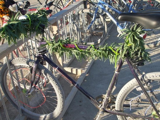 ����� �������� :: Burning man 2007 ���� 83