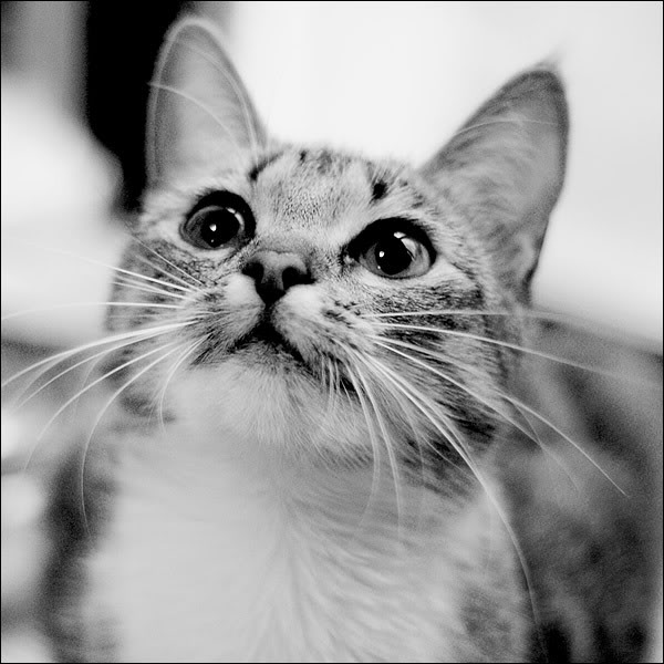 ������� ������ :: ���������� 2