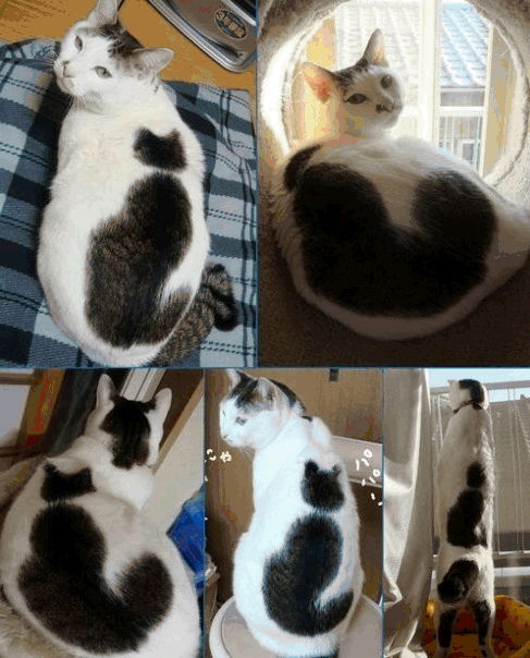����� � �������� ����� :: ���������� 1