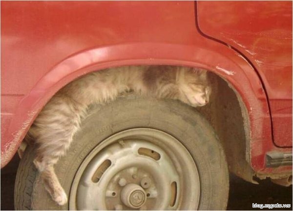 ������� �������� ����� :: ���������� 1
