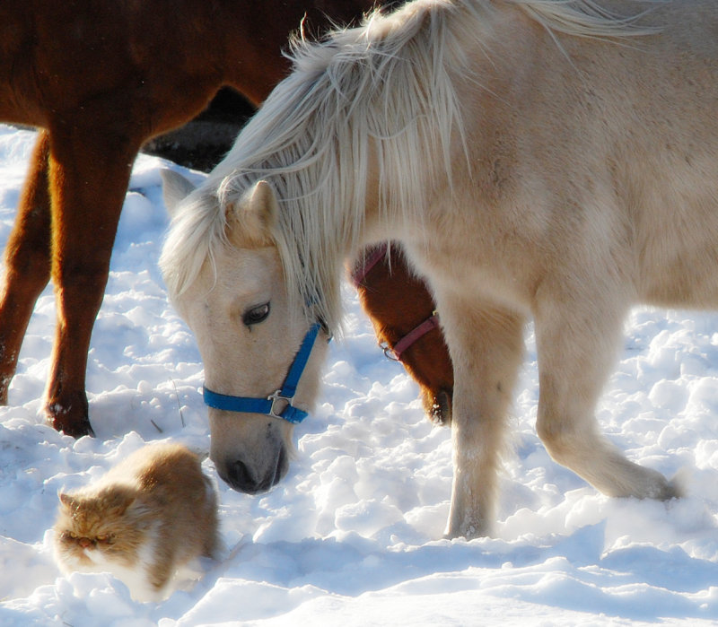 ����� :: ���������� 1