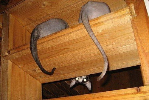 ���������� ����� ���� 26
