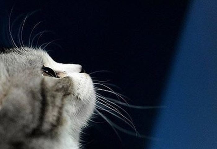 ���������� ����� :: ���������� 1