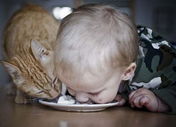 ����� � �� ������ :: ���������� 1
