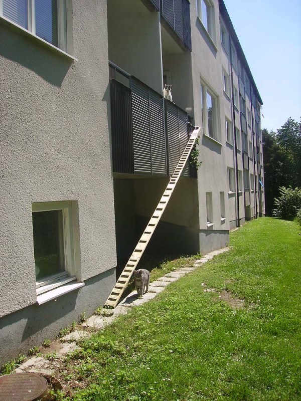    ::  1