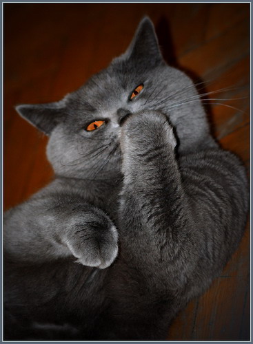 �������� ��� :: ����� ���� 2