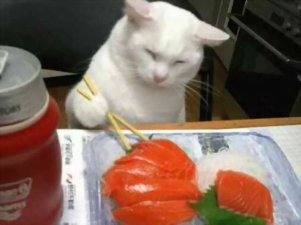 �������� ��� :: ����� :: ���������� 1
