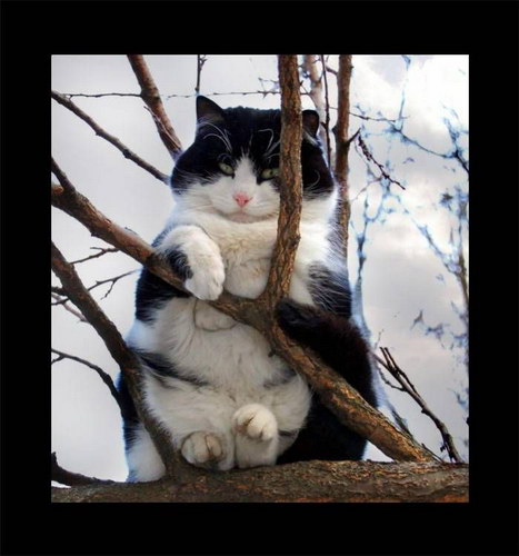 �������� ��� :: ����� ���� 12
