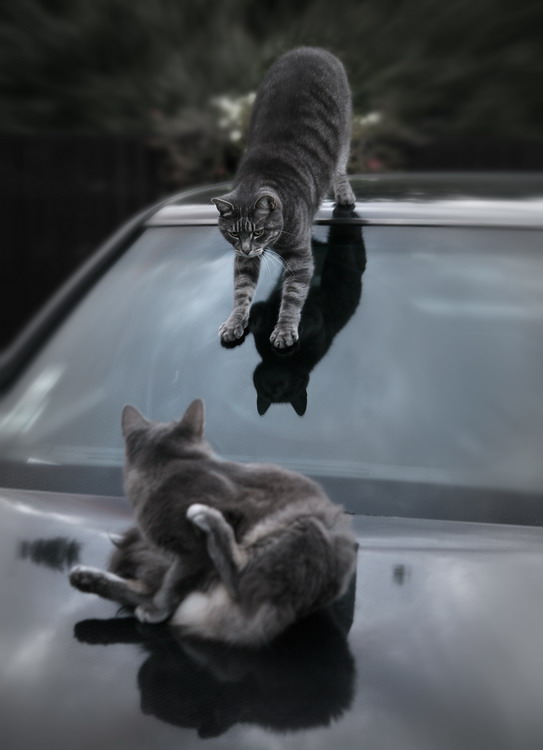 �������� ��� :: ���� � ����� :: ���������� 1