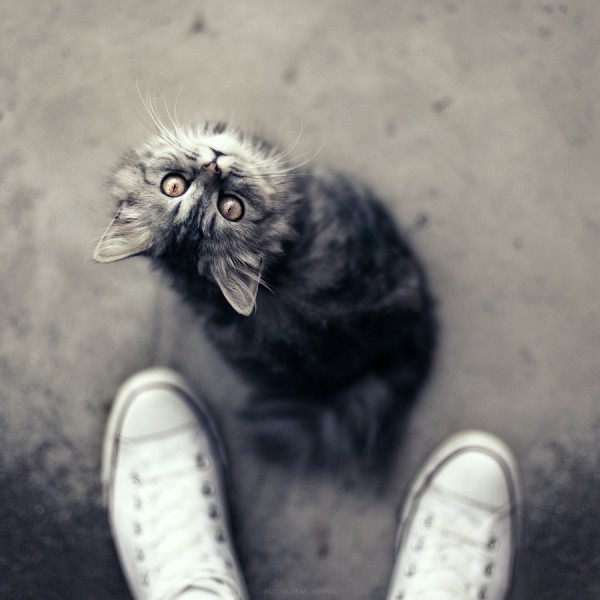 � ��� ���������� ����� :: ���������� 1