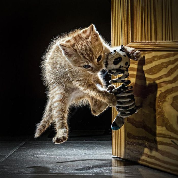 � ��� ���������� ����� :: ���������� 1