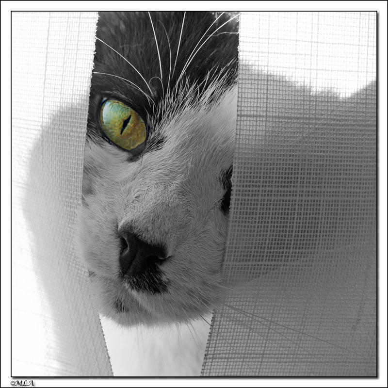 �������� ��� :: �������� �����, ����� � ����� :: ���������� 1