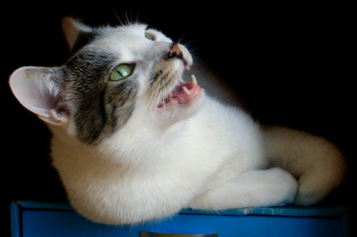 �������� ��� :: �������� �����, ����� � ����� ���� 93