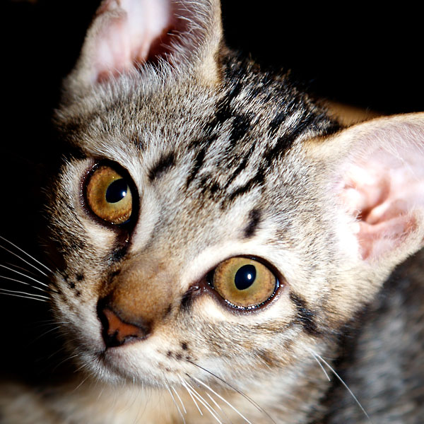 �������� ��� :: �������� �����, ����� � ����� :: ���������� 1