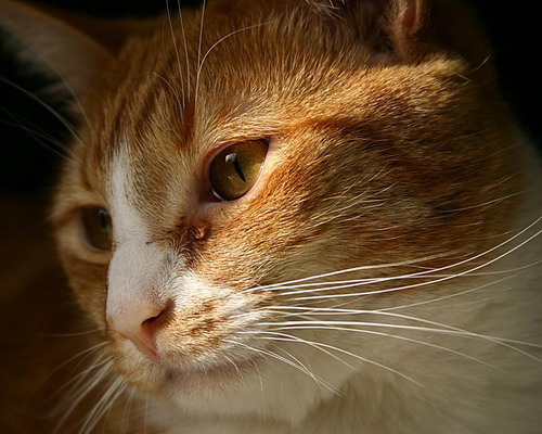 �������� ��� :: �������� �����, ����� � ����� ���� 127