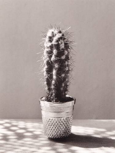 ���������� :: ��������� �������� Chema Madoz ���� 13