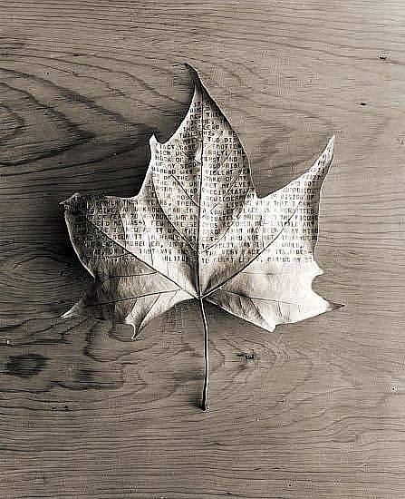 ���������� :: ��������� �������� Chema Madoz ���� 29