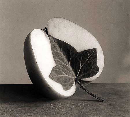 ���������� :: ��������� �������� Chema Madoz ���� 37