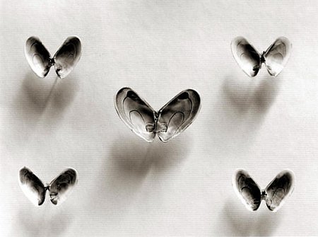 ���������� :: ��������� �������� Chema Madoz ���� 38