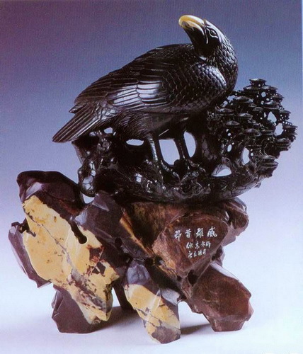 �������� ���������� ���� 51