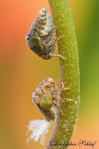����� �������� ���������� ���� 12