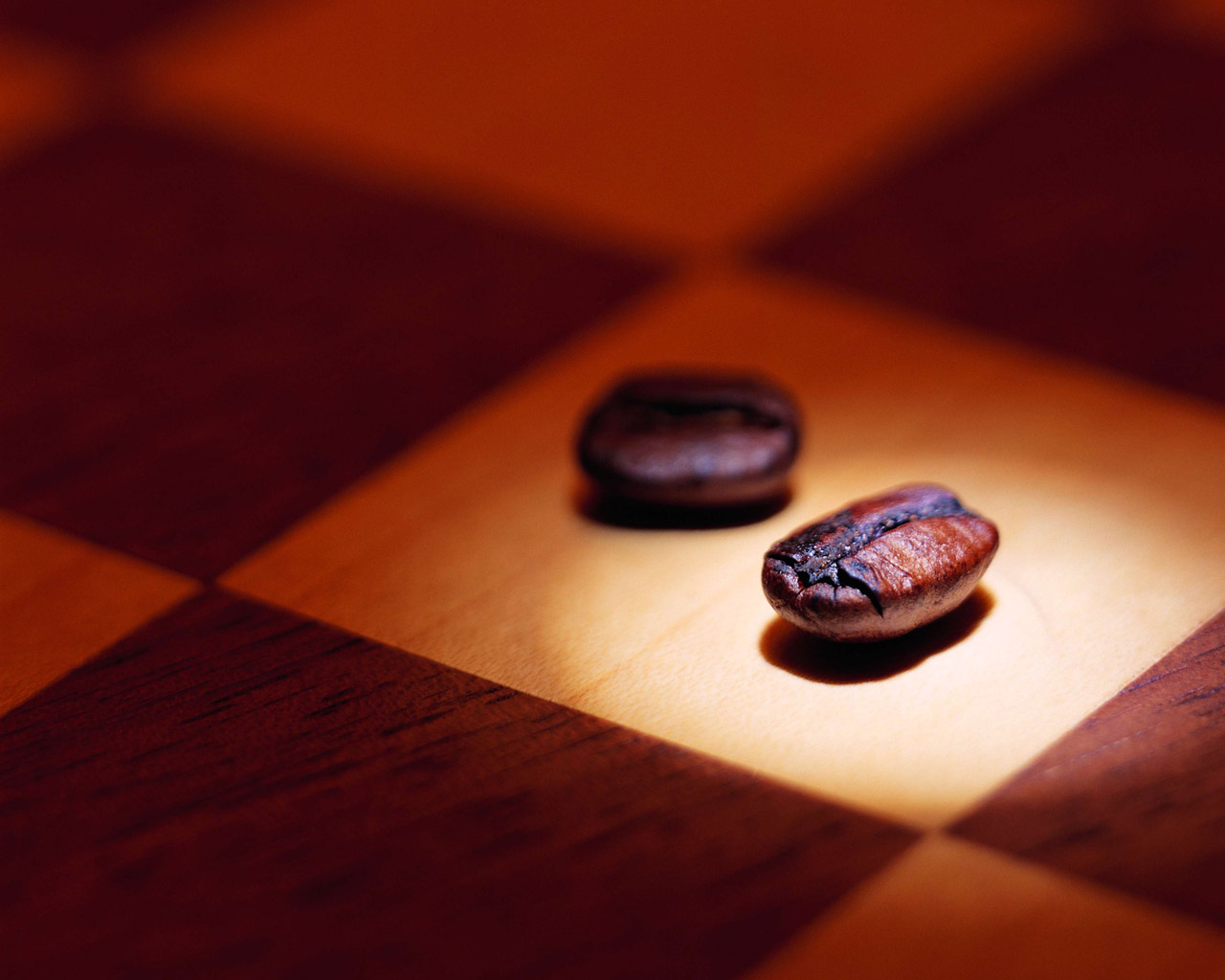���� :: ���������� 1