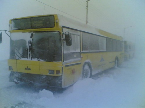Автобус для лета фото 1