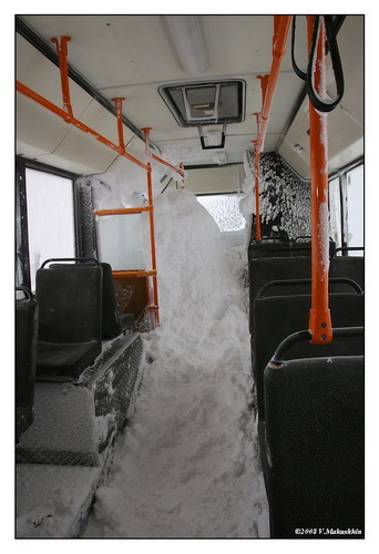 Автобус для лета фото 5