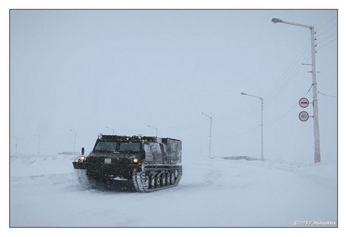 Автобус для лета фото 14