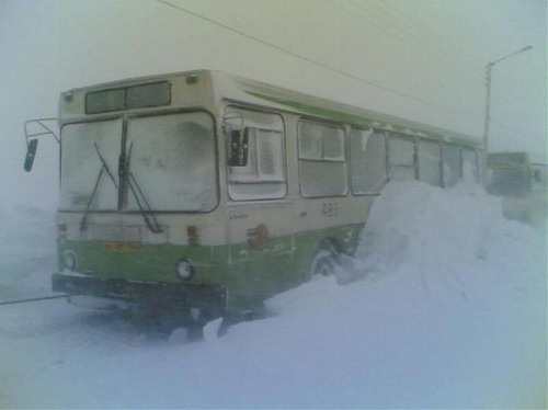 Автобус для лета фото 15