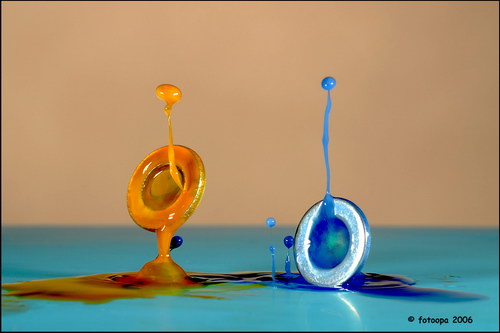 �������� :: ���������� ��������� ���� 19