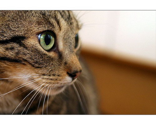 �������� ��� :: ����� ���� 27