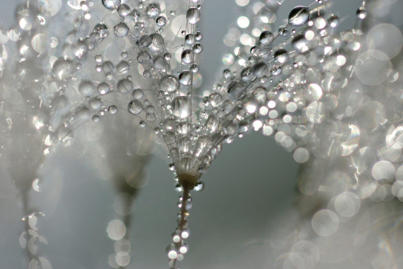 �������� David Maitland :: ���������� 1