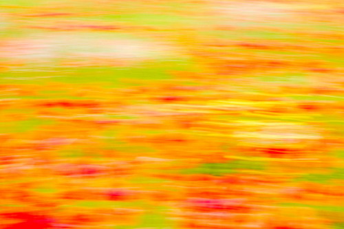 �������� David Maitland ���� 23