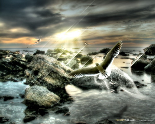 Desktopography ���� 64