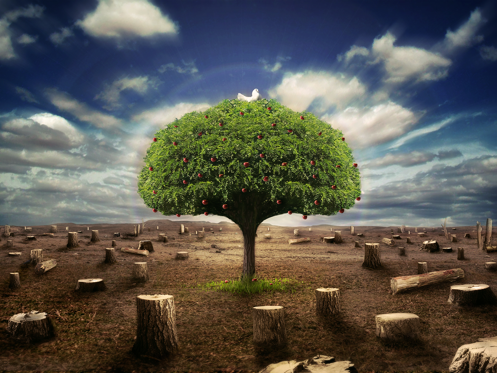 Desktopography :: ���������� 2